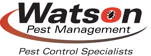 Watson Pest Management | Pest Control and Exterminator Services